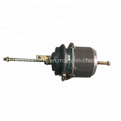 OEM 트럭 부품 스프링 브레이크 챔버 Wg9000360600