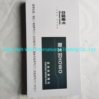 안전한 지불 Sinotruk HOWO 트럭 부품 엔진 수리 키트와 함께 구매를 보호