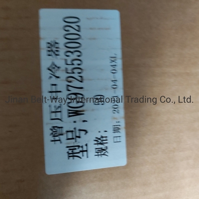 시노트룩 HOWO 트럭 예비 부품 초충전 융통 냉각기 Wg97255300250 Wg9725530020
