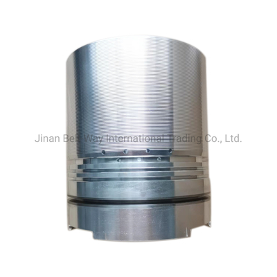 전기 시스템 부품 Battery for Nt855 Genset Piston 3017348 주요 시장 남아시아
