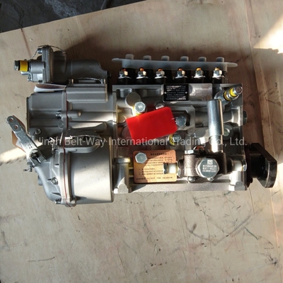 40kg Vg1560080022 PS8500 HOWO 웨이차이 Wd615.69 336HP를 위한 연료 주입 펌프